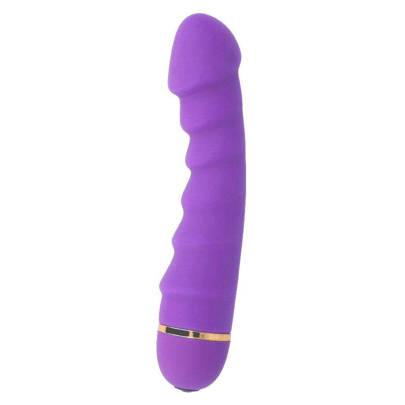 INTENSE - SALLY 20 VELOCIDADES SILICONE LILAC - Image 2