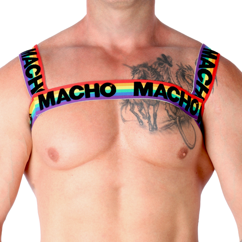 MACHO - ARNÊS DUPLO PRIDE LIMITED - Image 5