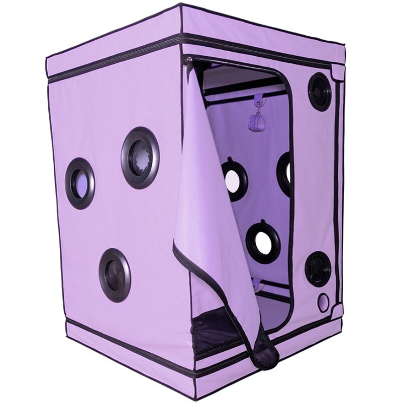 SECRET DOME - ESCÂNDALO ROXO DO CLUBE KINK - Image 2