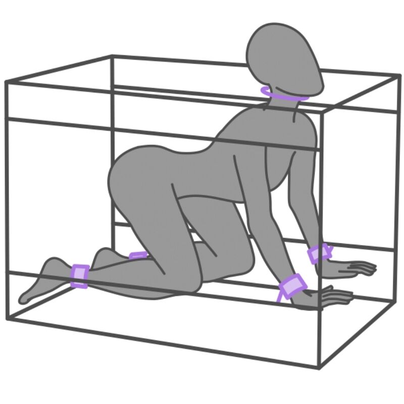SECRET DOME - KINK CLUB LA NICHE CABINE ROXA - Image 4