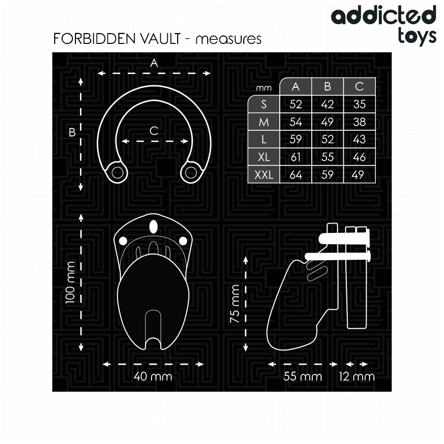 ADDICTED TOYS LOCKED - GAIOLA PARA PÊNIS FORBIDDEN VAULT 10 CM - Image 5